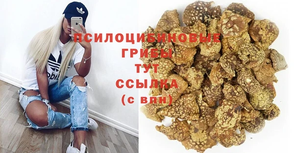 прущая мука Новодвинск